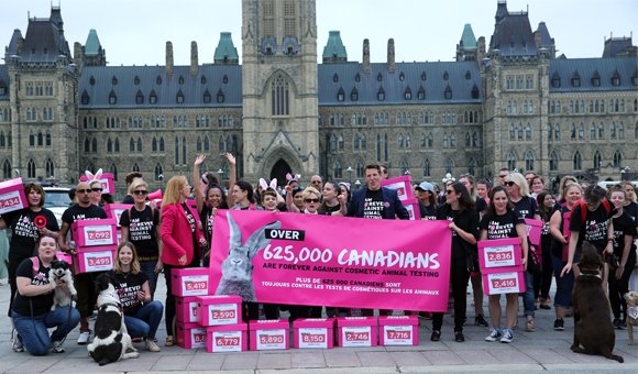 CrueltyFreeIntl's tweet photo. Is Canada becoming the North American Leader in Ending Animal Testing for Cosmetics? 🐰 Read more over on our blog: https://t.co/YeWPocsBMX https://t.co/8iu2wNbUxh