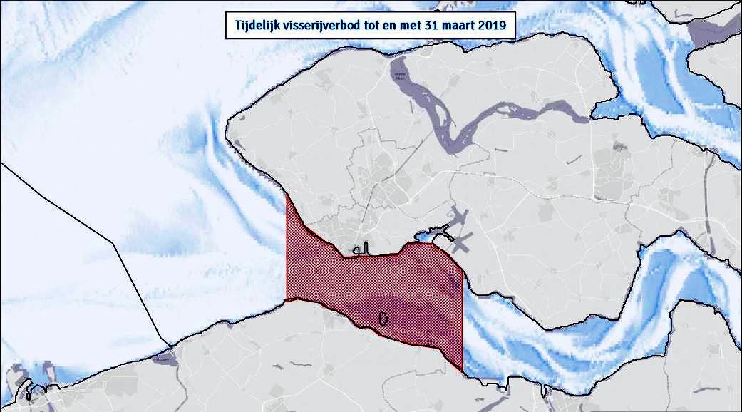 Garnalen vissers met Breskens als thuishaven gedupeerd. Zomaar ineens dichtgooien zonder overleg?? Kan dat??
visned.nl/ruimtelijke-or…