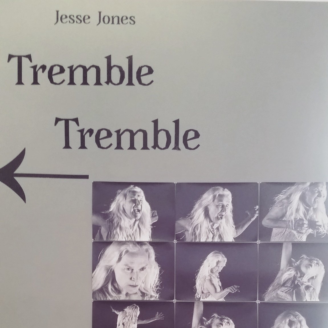 amynomad's tweet photo. Go tremble #jessejones #olwenfouere #venicebienale #projectartscentre #women #herstory #witchcraft https://t.co/BJPJFMGC4h