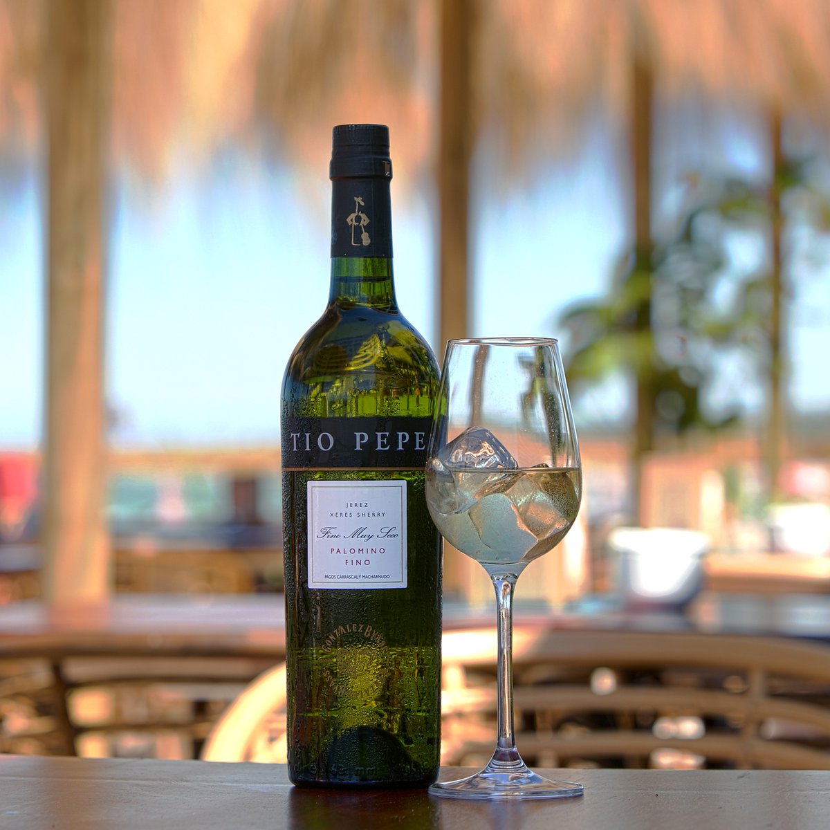 TioPepeWine's tweet image. Have you ever tried Tío Pepe over ice? 🤔
What do you think about this idea 🏖️?
#TioPepe #overice