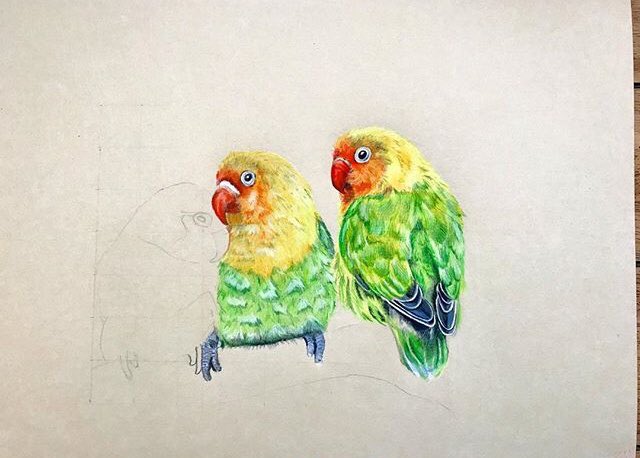 Amandagreysart's tweet photo. Progress! Happy Thursday🐥 what’s your favourite bird?🦅🦉💚 https://t.co/EqTLFg2pTl