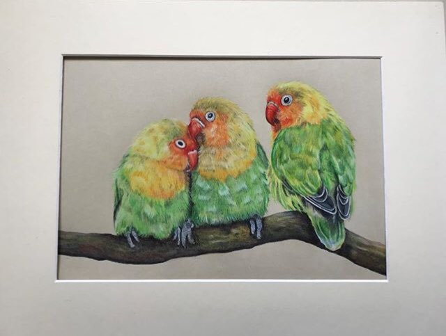 Amandagreysart's tweet photo. Progress! Happy Thursday🐥 what’s your favourite bird?🦅🦉💚 https://t.co/EqTLFg2pTl