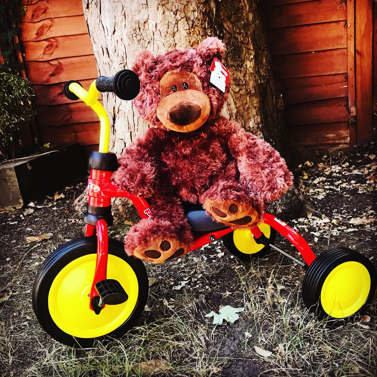 _soup_dragon_'s tweet photo. Philbin the bear enjoying the great outdoors on his trike! #gund #teddybear #toys #puky #Fitsch https://t.co/6htNvykk12