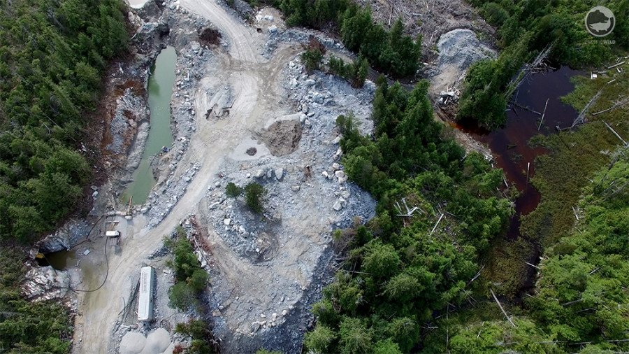 pacificwild's tweet image. Have your say on the future of environmental assessment in B.C.: pacificwild.org/news-and-resou… Thank you to @WCELaw for the informative guide.