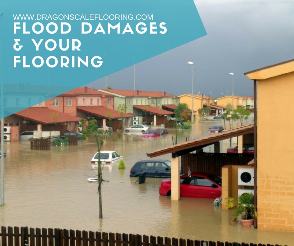 If you’ve recently experienced a flood in your home, you may be wondering what type of long term effect it will have on your flooring.
Here's all you need to know about #flood damage & your #floors.
dragonscaleflooring.com/flood-damages-… #flooding #flooddamage #Floodedbasement #Maryland