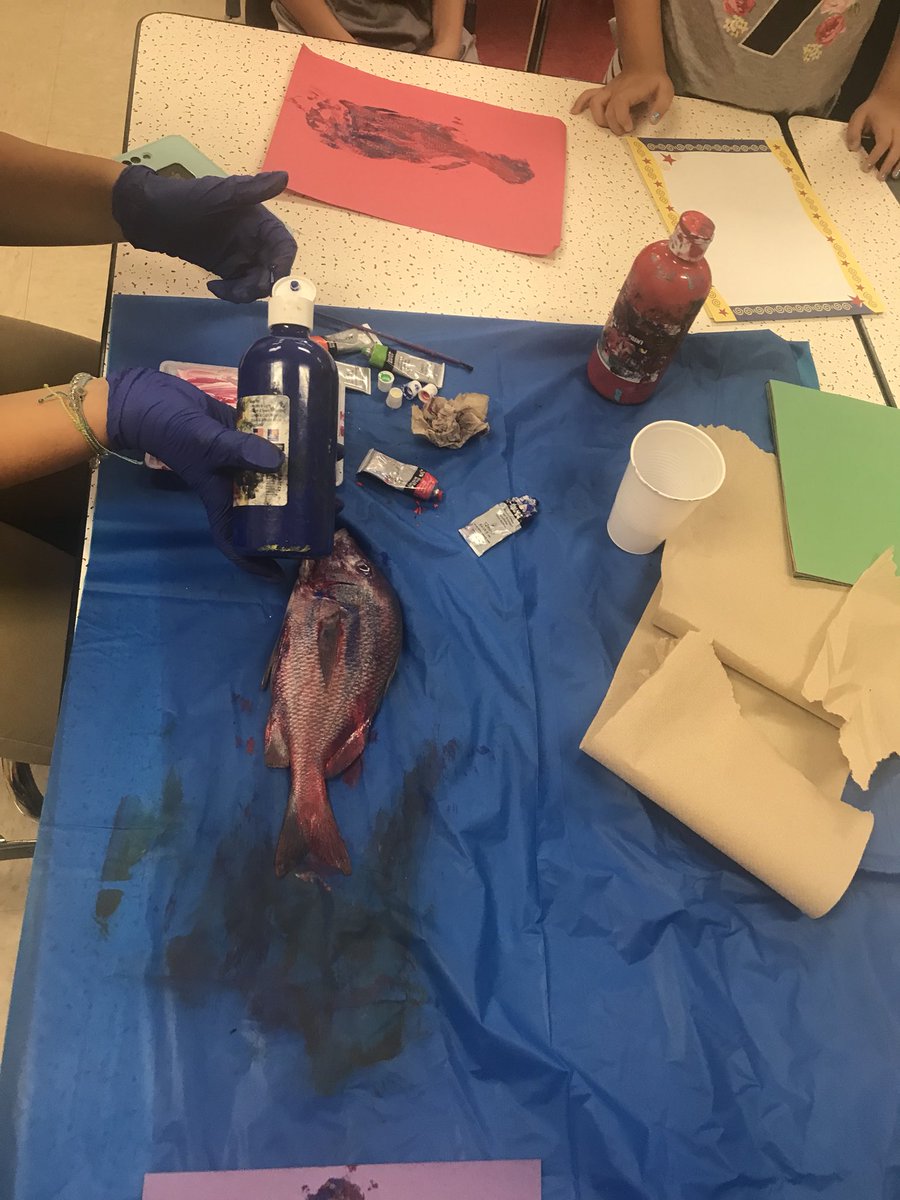 tabby_79's tweet image. Learning about fish with “Under Blue Waters” #fishprinting #castnet #summercamp #21stCCLC