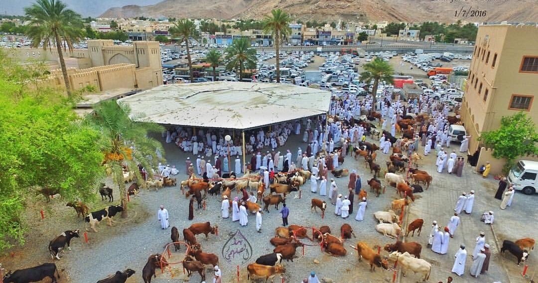 AdnanAlNasri86's tweet photo. #سوق_الجمعة_في_ولاية_لمصنعة مقترح مني واتمنى السعي فيه من ذوي الاختصاص لما فيه من فائدة للاهالي في بيع حاجاتكم وبيع الحيوانات والطيور والاشياء المستعملة لمن لا يملك محلات علما بان المشروع بسيط ويحتاج اختيار موقع وعمل مظلات وسوف يعزز هذا المقترح الولاية بشكل عام والاهالي بشكل خاص https://t.co/qZzavFHxyw