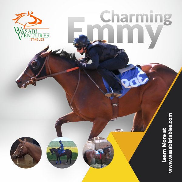 Three-year-old Kentucky-bred filly Charming Emmy will run in Race 4 at <a href="/LaurelPark/">The Maryland Jockey Club, Inc.</a> on Saturday, July 7, at 2:40 p.m. ET. Livestream: bit.ly/2q7TmuF #CharmingEmmy
