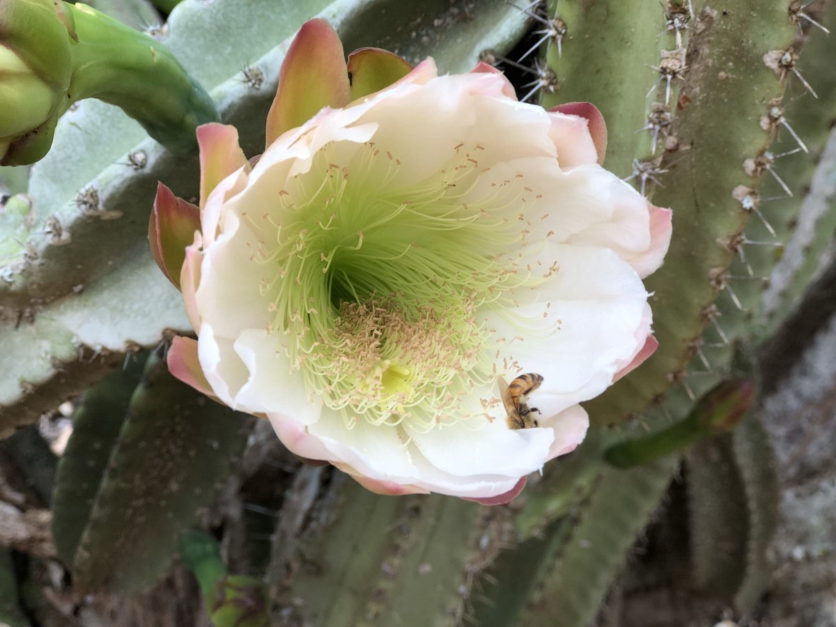 Christine Hartmann tweet media