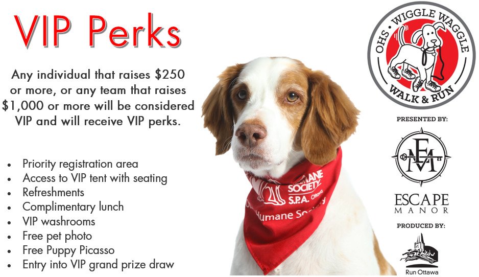 Did you know that there’s a VIP tent at the Wiggle Waggle Walk and Run presented by <a href="/EscapeManor/">Escape Manor</a>? Any individual that raises $250 or more, or any team that raises $1,000 or more will receive VIP perks. Become a VIP by fundraising for Ottawa’s animals at ottawahumane.ca/walkrun