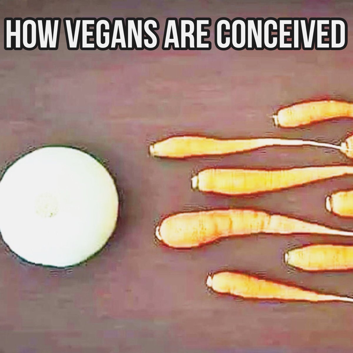 devoshion's tweet photo. How vegans are conceived ๐น๐น๐น๐น๐น๐น๐น๐น๐น๐น
.
.
.
#veganmemes #veganmeme #veganhumor #veganhumour #veganjokes #veganjoke #funnyvegan #funnyvegans #vegancommunity #vegansofinstagram #vegansofinsta #veganclub #veganvibes #devoshion #devoshionbymor https://t.co/2OtMS1ET4h