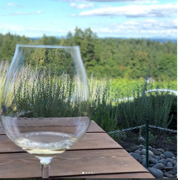 Tasting of choice after a wonderful holiday? Our new 2017 Pinot Gris, of course! Shop this new release in the Tasting Room &amp; online now. Cheers! #HawksViewWinery