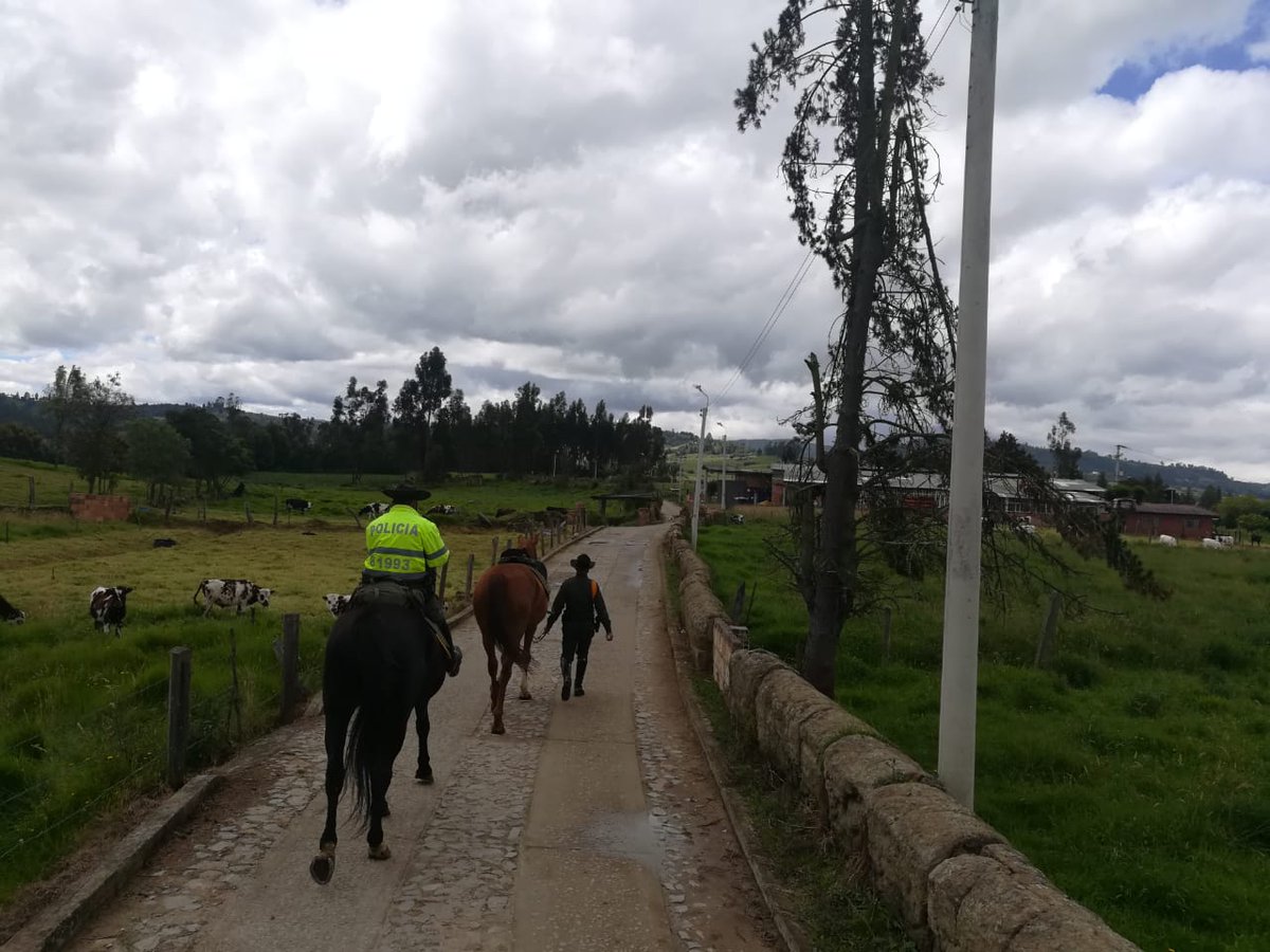 PoliciaMTunja's tweet photo. Implementamos estrategias para la prevención y control de los delitos  en zonas rurales del municipio de #Tuta @CarabinerosCol https://t.co/1bkue1A9qv