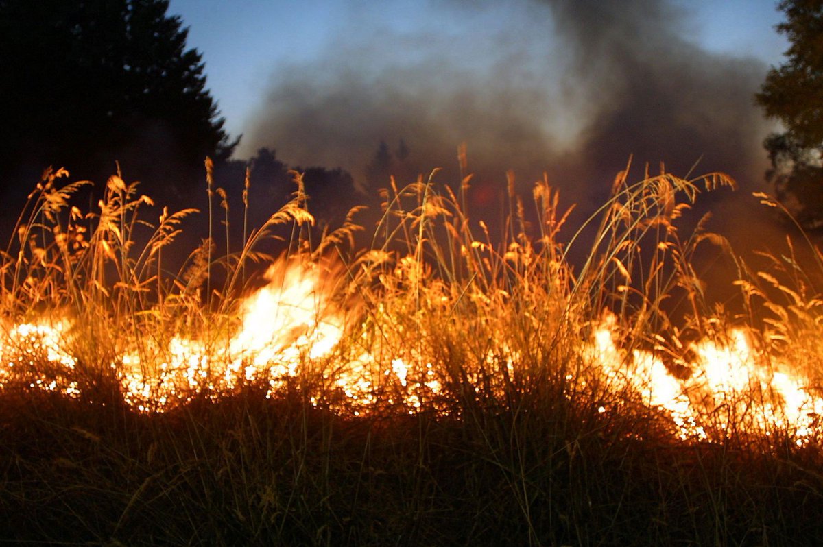 Wildfire Season New Backyard Burning Debris Alert News