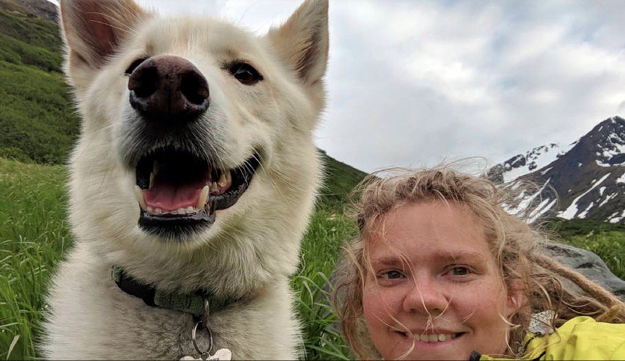 Alison Gerber tweet media