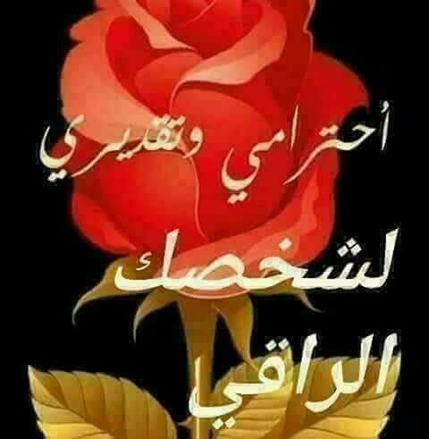 الملكة (@amlmohmmad3) on Twitter photo 