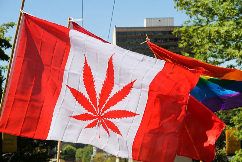 WeAreJadeo's tweet photo. The 4 Economic Benefits of Legalizing Marijuana in Canada. https://t.co/q0X7oGbVRB

#PlantBasedWellness #JADEO #CBD #NaturalWellness #THC #Legalization #Jobs #Economy #Legal https://t.co/YmKVlVUVXw