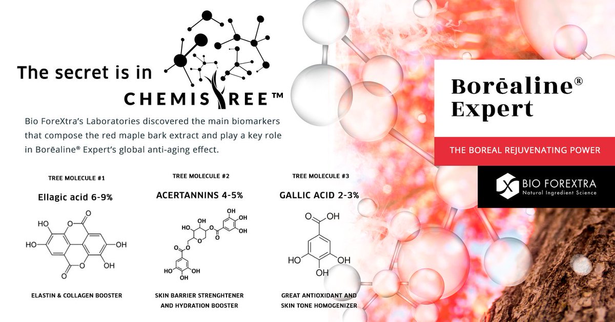 The Borealine Expert ingredient recently won the Ringier Technology Innovation Awards 2018 in the anti-aging category, and now you know why : It's because of the #Chemistree !

#RedMaple #Chemistree #TreeIntelligence #Borealine #Greencosmetics #TreeLovers 💚🌲
