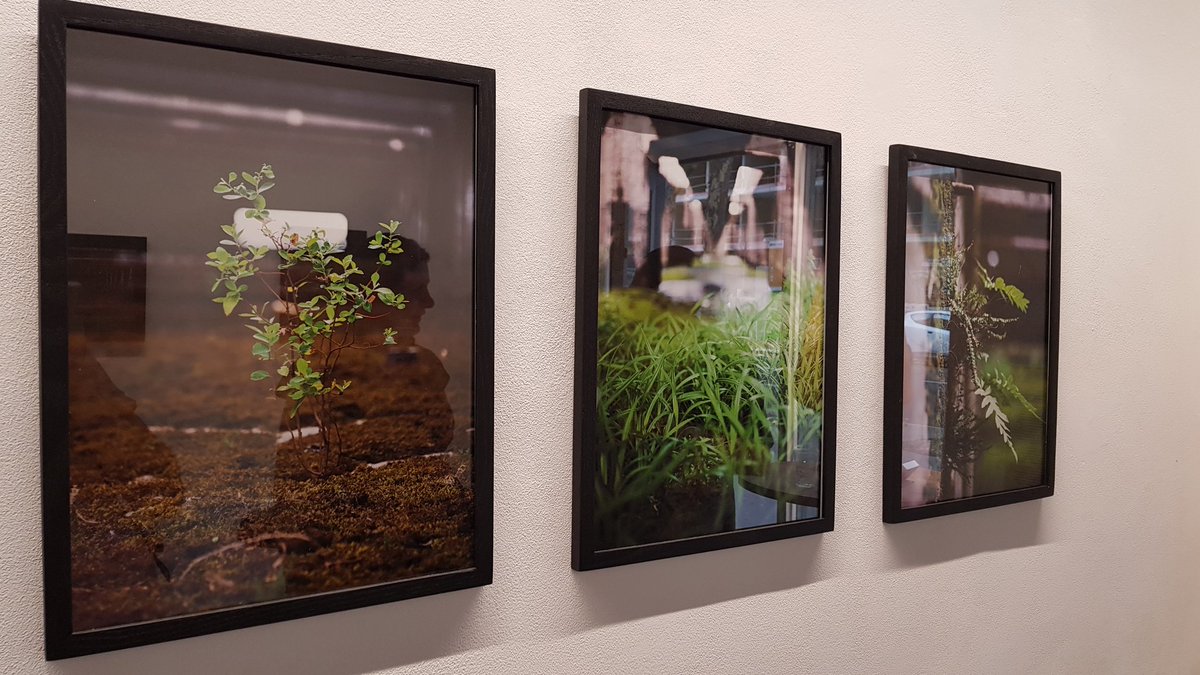 ANSKAarchitects's tweet photo. Base sous-marine et nature. La brutalité de la guerre confrontée à l'instinct de vie. " #Improbabilis "- exposition remarquable de Nicolas Deshais-Fernandez (#AtelierNDF) Paysagiste-botaniste talentueux avec qui on a aussi le plaisir de travailler sur un pont! #paysage #Bordeaux https://t.co/FAPsJQB128