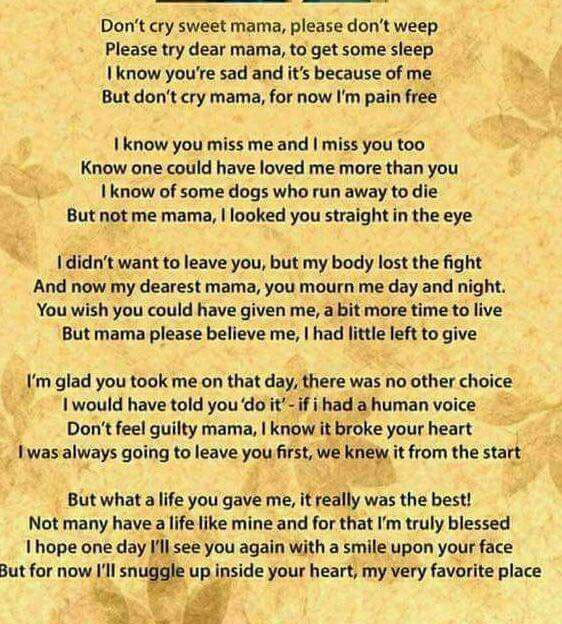 Jannerchick's tweet photo. @BaggyBulldogs Sorry for your loss my thoughts are with you https://t.co/ZZyRGLwoac