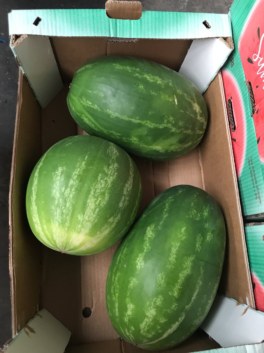 TatwsTrading's tweet photo. When your busy on market days &amp; buying blind over the phone it’s a great bond &amp; trust when the salesman says this is what you want &amp; would buy if you were here done me proud today @PhilipBruce20 &amp; @TotalLpool 👍👍👍👍👍👍oh can’t forget @Johnjon82317157 👌👌👌 https://t.co/Nz5vYlOfD4