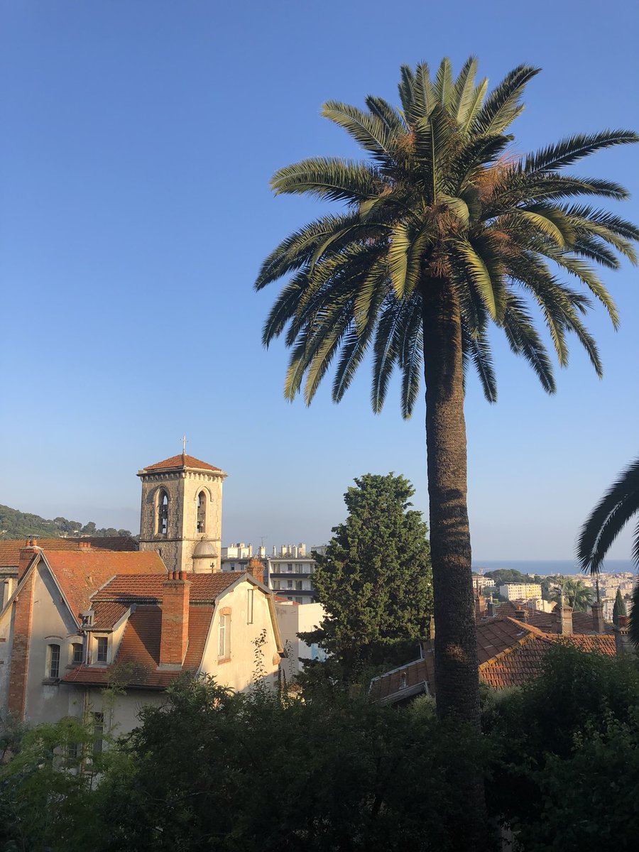 Une place qui porte bien son nom au Cannet pour ce Jeudi Photo 🌴💙 #JeudiPhoto #placebellevue #lecannet #CotedAzureFrance #visitcotedazur