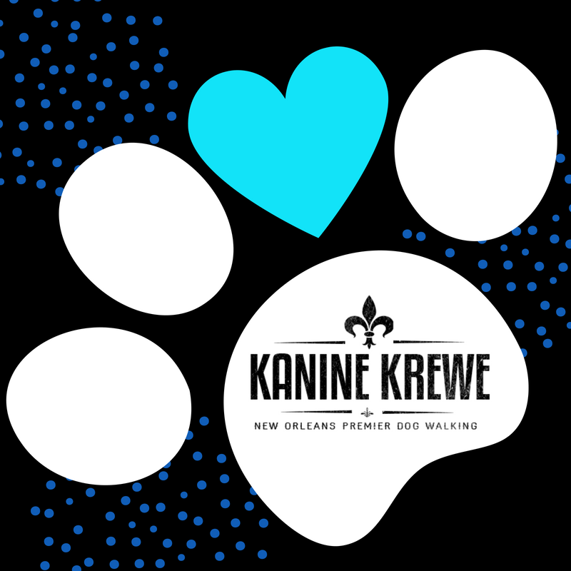 KaninekReweNola's tweet photo. Call Kanine Krewe Nola at (504)-535-5738 for our dog walking, pet taxi, pet sitting, vacation care, and cat care services!

#KanineKrewe #KanineKreweNOLA #premierdogwalking #nolapetsitter #nolapets #noladogwalking #nolacats #nolacatsofinstagram #noladogsofinstagram #dogsofthe50 https://t.co/iDScktxqOp