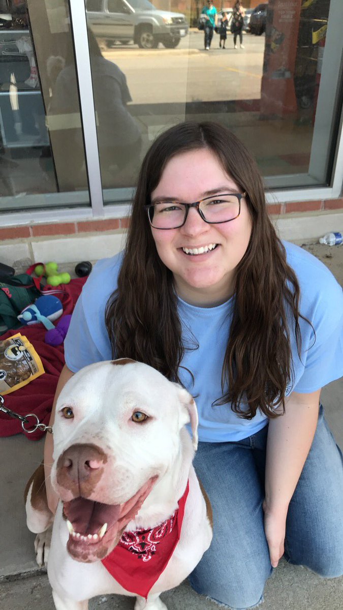 Billy was pulled from #ChicagoAnimalCareandControl with just 45 minutes of his life to spare. He is one of the sweetest boys you will ever meet.

They’re good dogs, @ChicagosMayor!

#chooselivesnotpolitics #rahmchooselives #chicagorescue #rescuedog #chicagorescuevolunteer