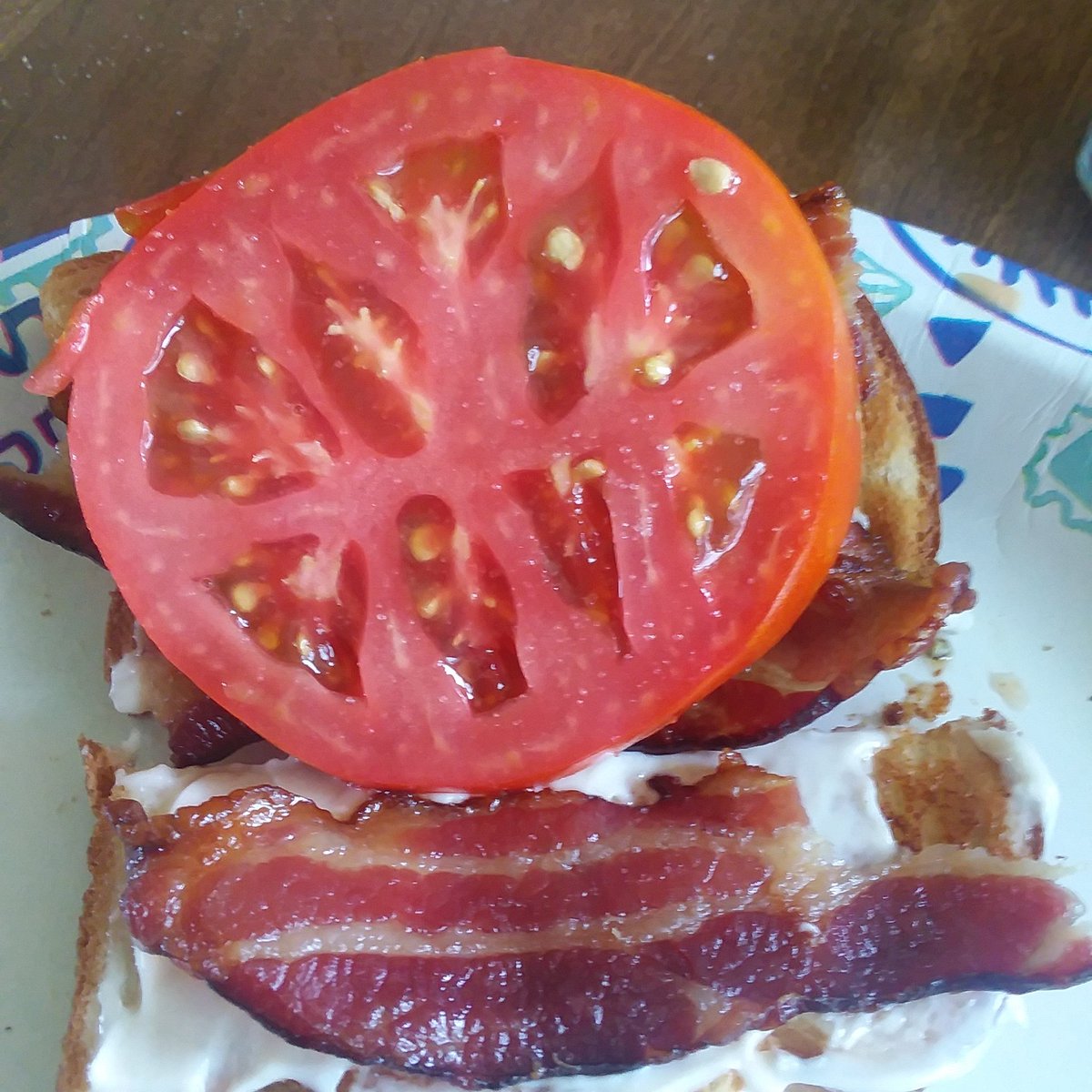HLhomestead's tweet photo. No better way to eat the first tomato of the season.  #homegrown #homesteading #garden #gardenfreshtomatoes #firsttomato https://t.co/4ZiEpRv4cC