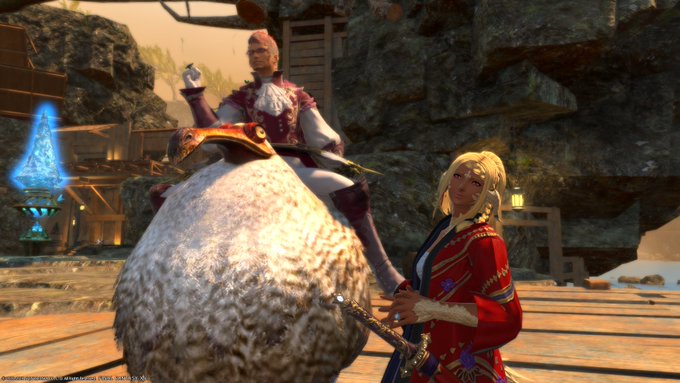 Ff14 ドードーマウントの各種族の乗り方 基本的に大股 ララフェルは許せる