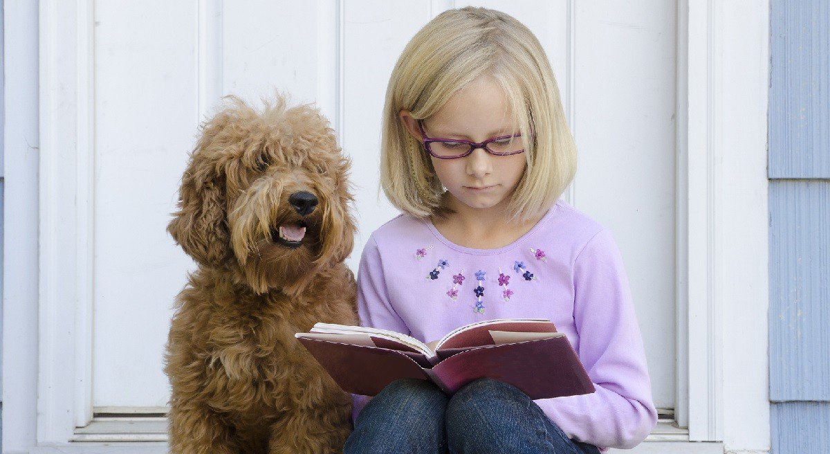 HABRITweets's tweet photo. Classroom canines can improve the behavior of children with #ADHD. Sandra Mccune tells us more about @waltham_science 's new #research with @NICHD_NIH presented at #ISAZ2018! https://t.co/0z9jW28tky https://t.co/jlv3HygJbo