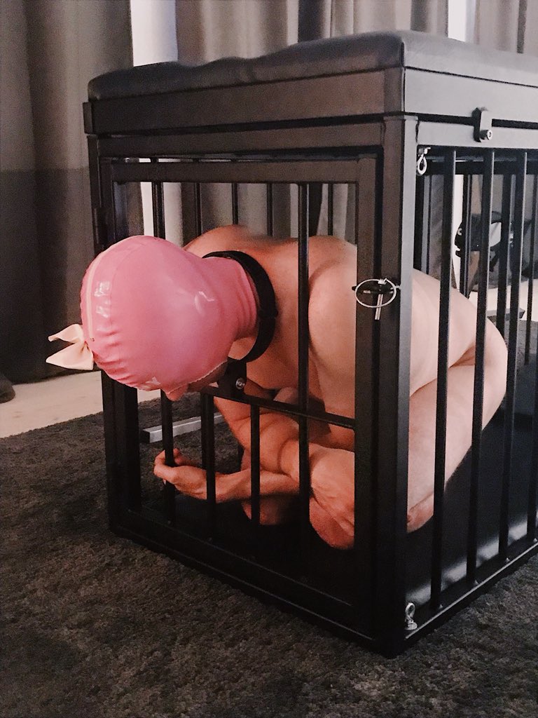 SophiaLarou's tweet photo. captive sissy https://t.co/fhzg7VS5mN
