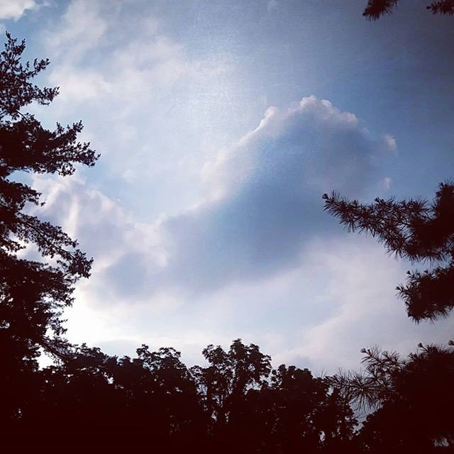 VideoManChris's tweet photo. Reposting @game_casters:
Such a wonderful day out!
How's everyone doing?! #beautiful #day #instagram #GameCasters #outdoors #nature #sky https://t.co/iTdqRXobPd