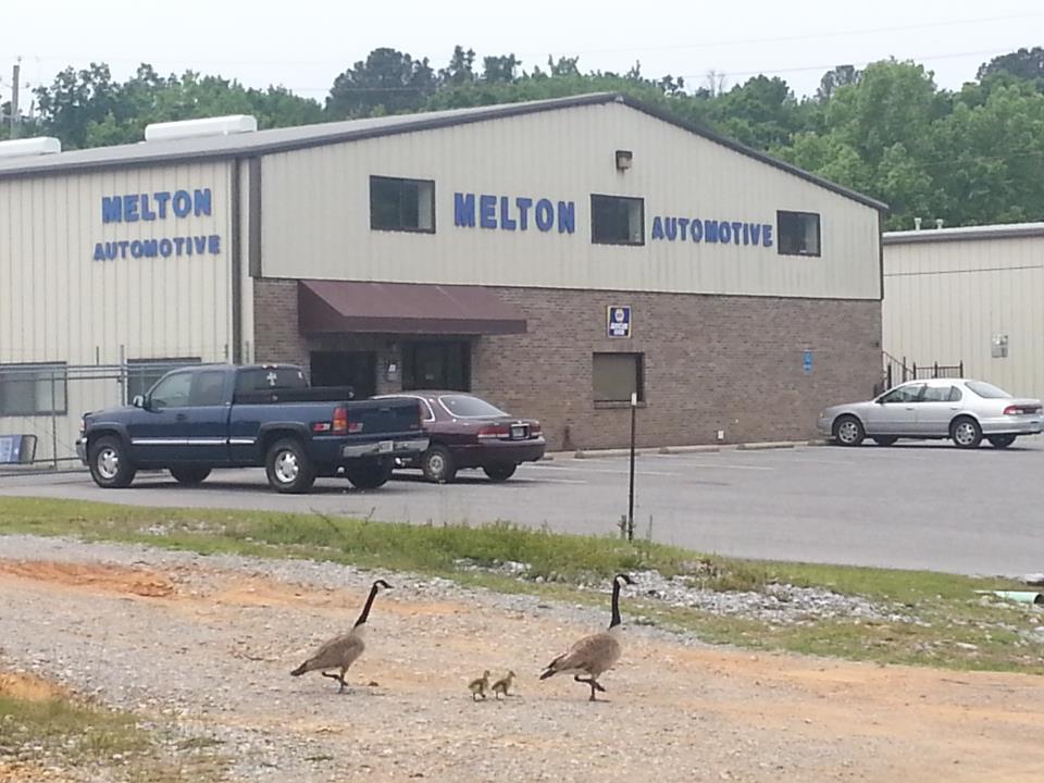 Melton Automotive (MeltonAutomotiv) Twitter