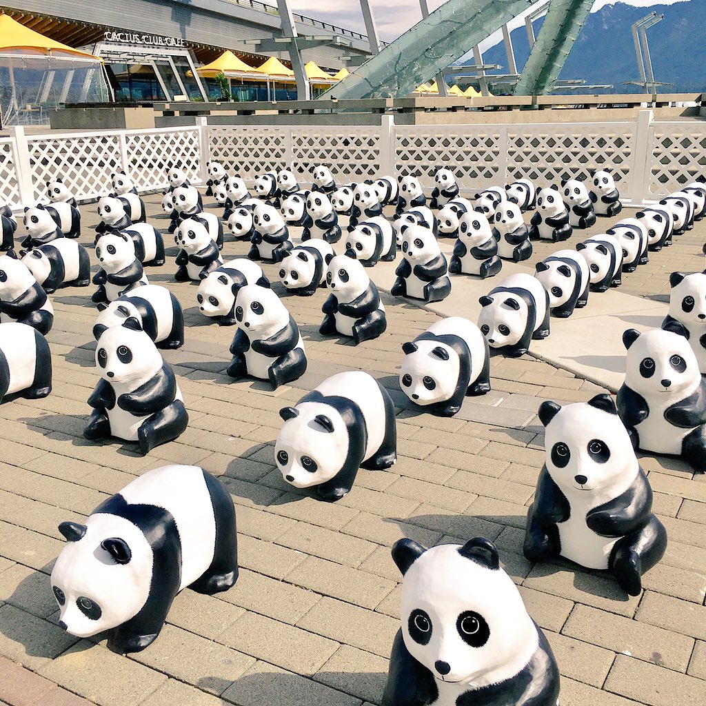 Life is good when you get to see pandas at work and spread a good message. #1600PandasPlusCA #pandaconservation