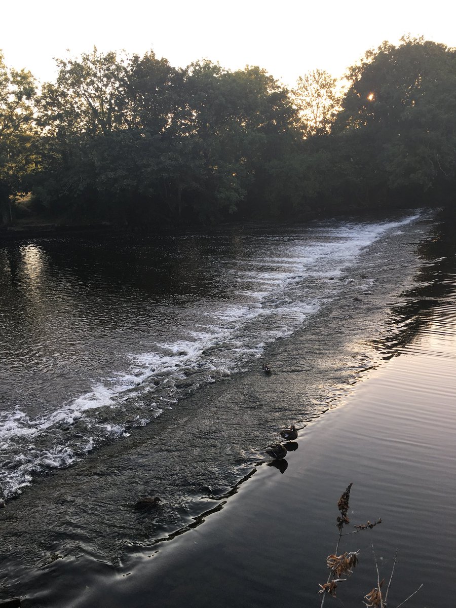 emilyjmacaulay's tweet image. Oh Exeter. I ❤️ London. But gosh it’s good to be home. #DevonIsHeaven