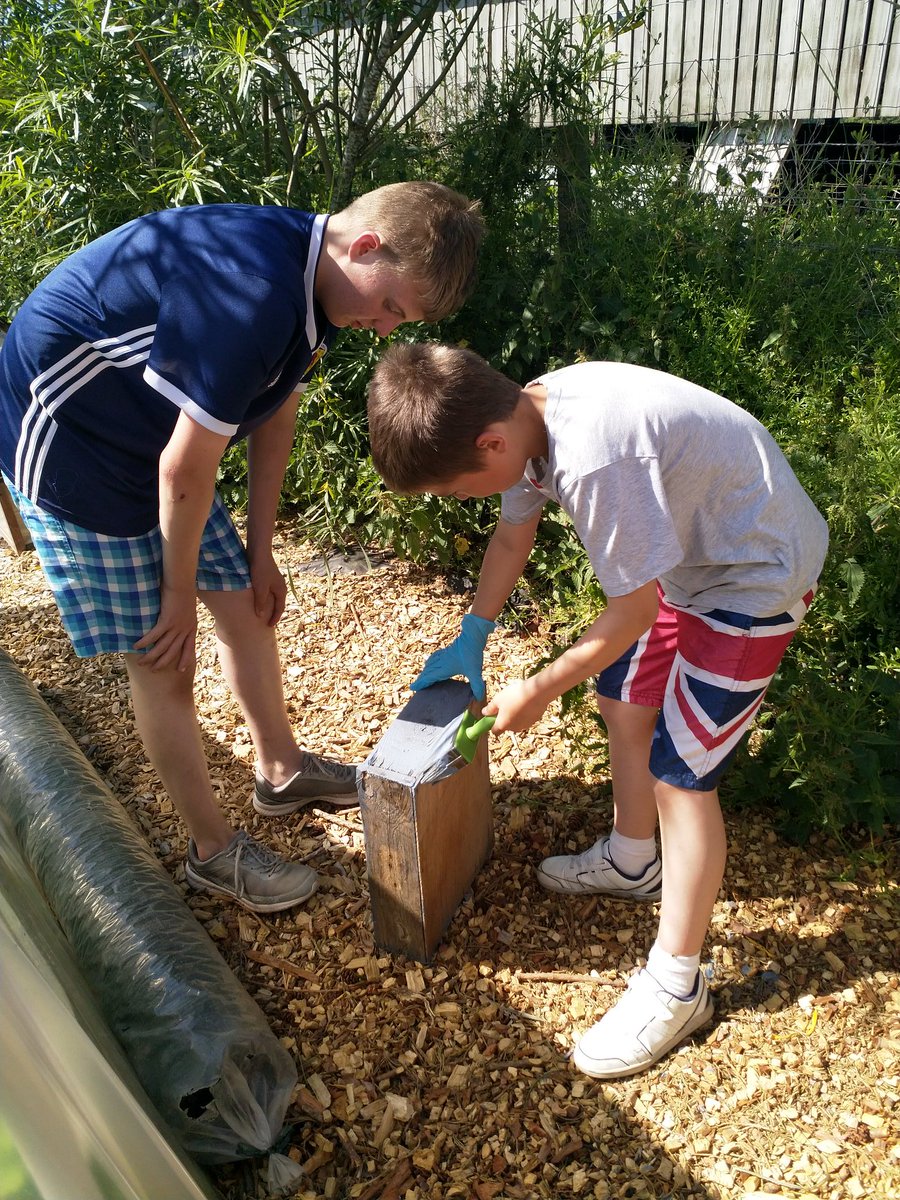 PerthAcademyOrganics tweet media