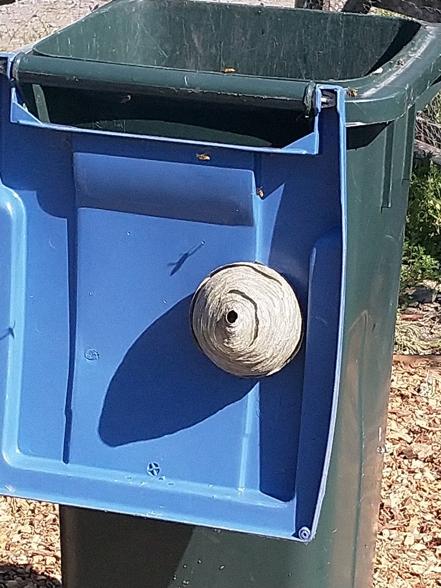 PerthAcademyOrganics tweet media