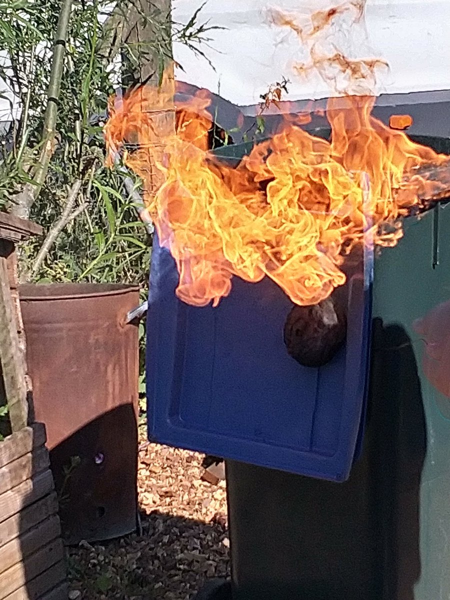 PerthAcademyOrganics tweet media