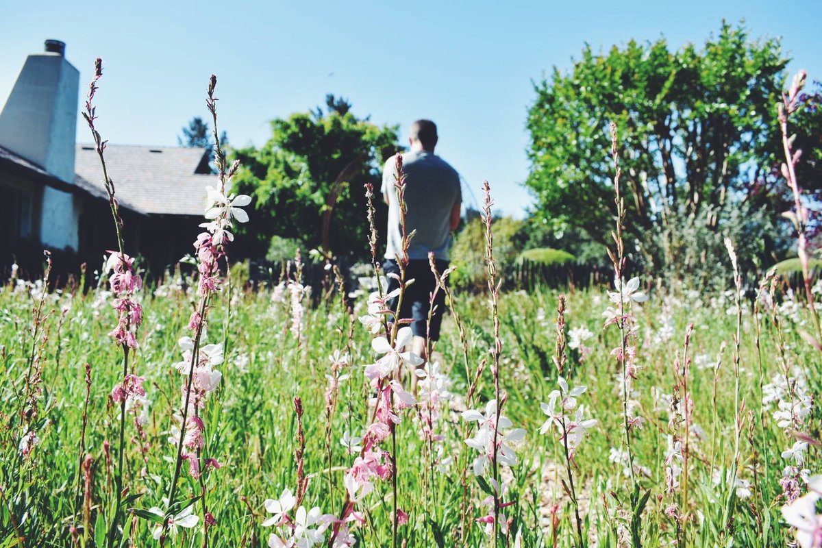Soak in the nature and sun because you never know when you will get it again 😁 #nature #sun #californianature