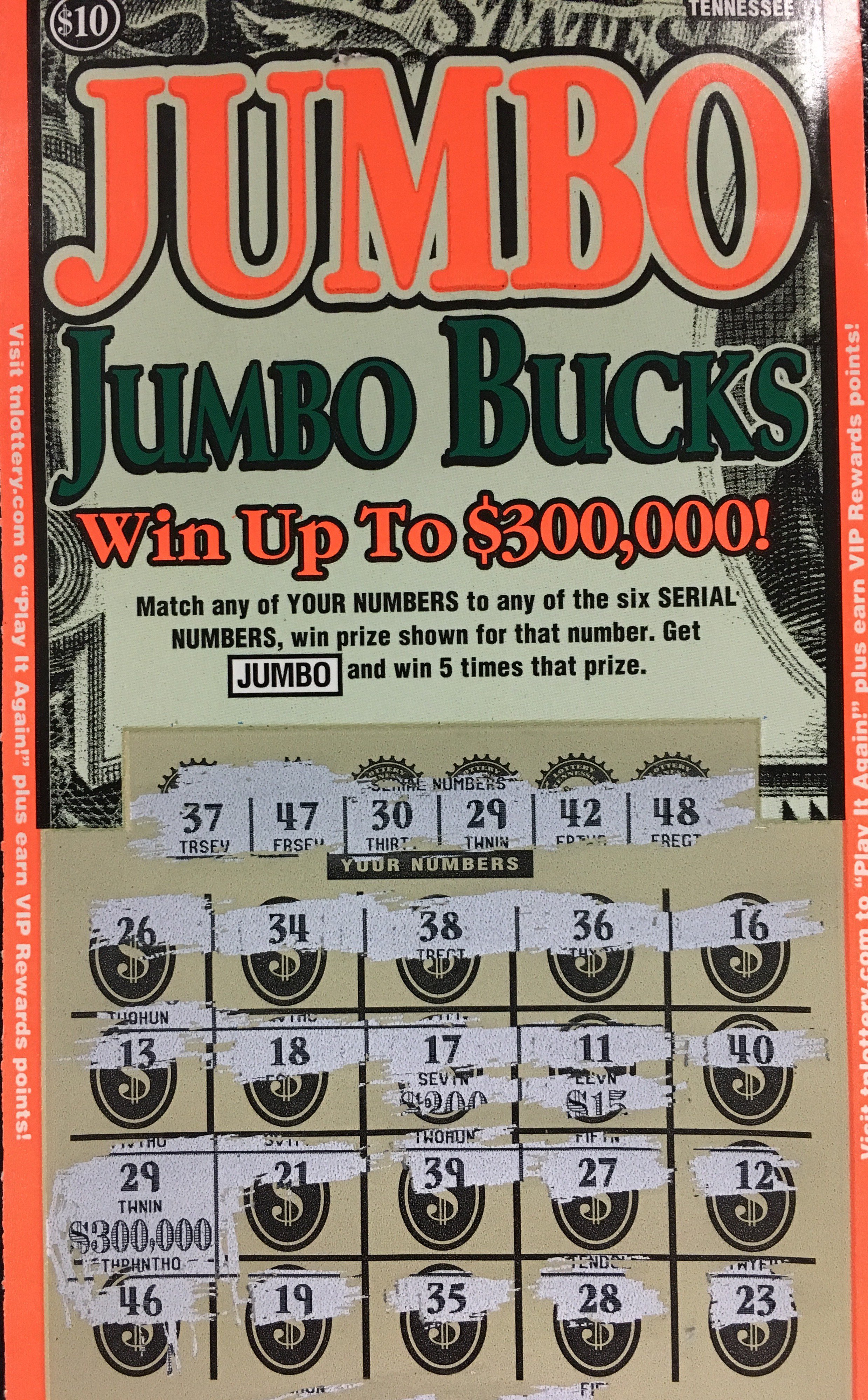 Jumbo bucks cheap