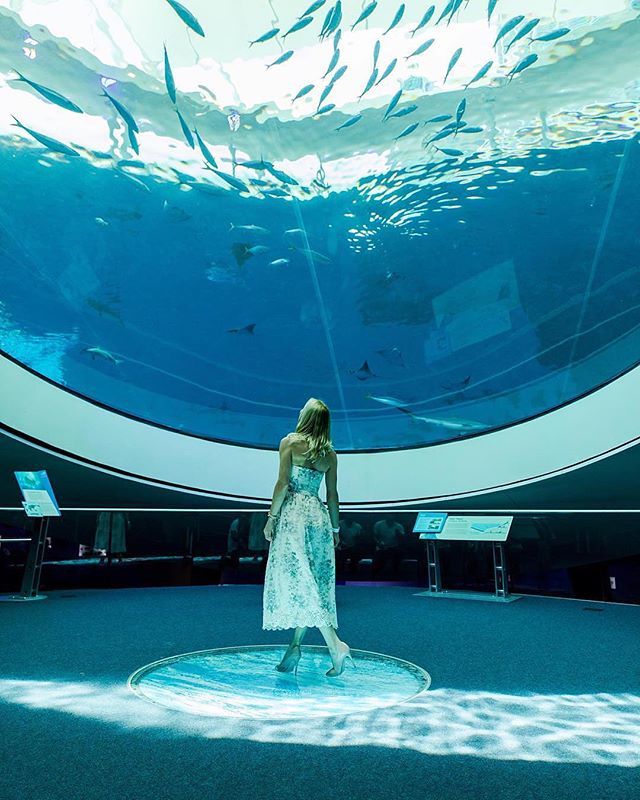 svvyfive's tweet photo. We dream in colors borrowed from the sea. Experience Miami from a new perspective. #OneThousandMuseum sits in the nexus of the most desired locations such as @frostscience @onethousandmuseumWe dream in colors borrowed from the sea. Experience Miami from a new perspective. #O… https://t.co/IhtbrQYRlV
