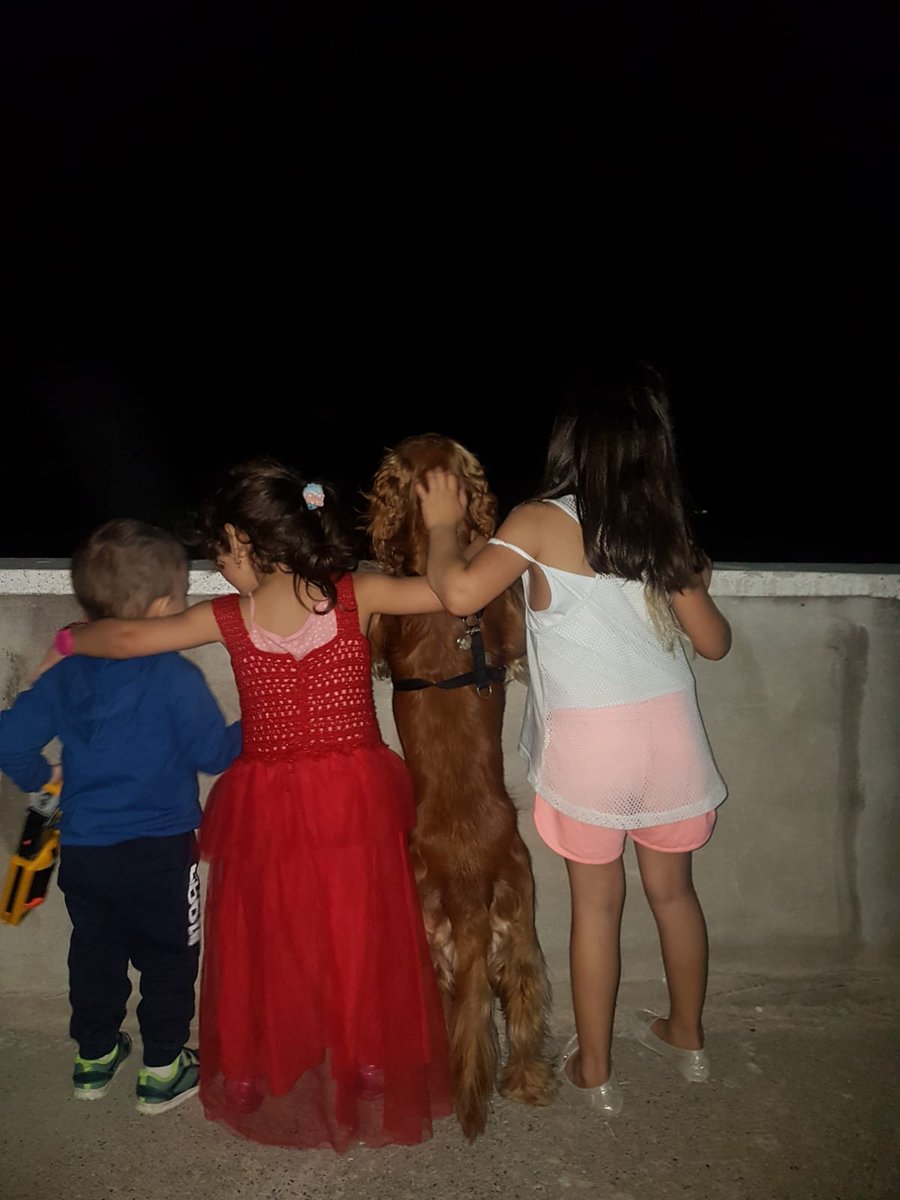 Bazen Sadece Bakarsın.