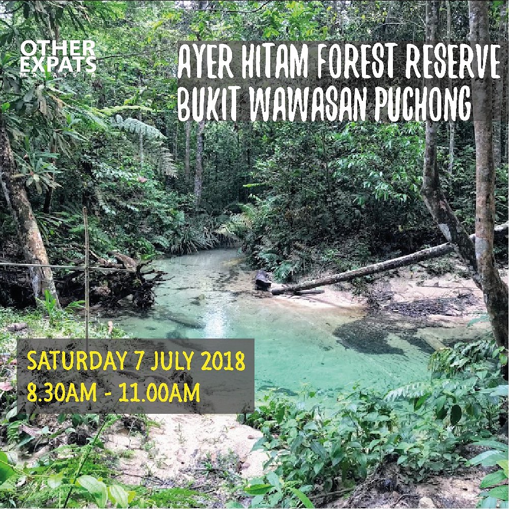 Other Expats On Twitter Saturday Morning Hike Ayer Hitam Forest Reserve Expect To Sweat Have A Bottle Of Water Amp Comfortable Hiking Shoes Navigate To Jalan Wawasan 5 1 Hiking Outdoors Puchongwawasan