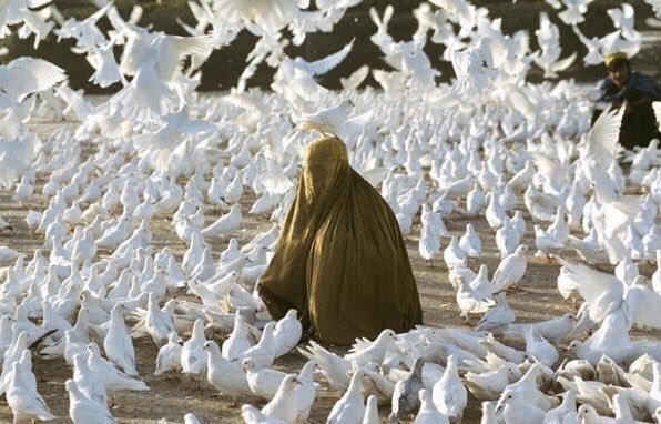 X_She77's tweet photo. لماذا يالله لم تخلقني طائراً وخلقتني بنتاً خيل لي ان الله يحب الطيور اكثر من البنات.. https://t.co/ZeHaZpjSgR