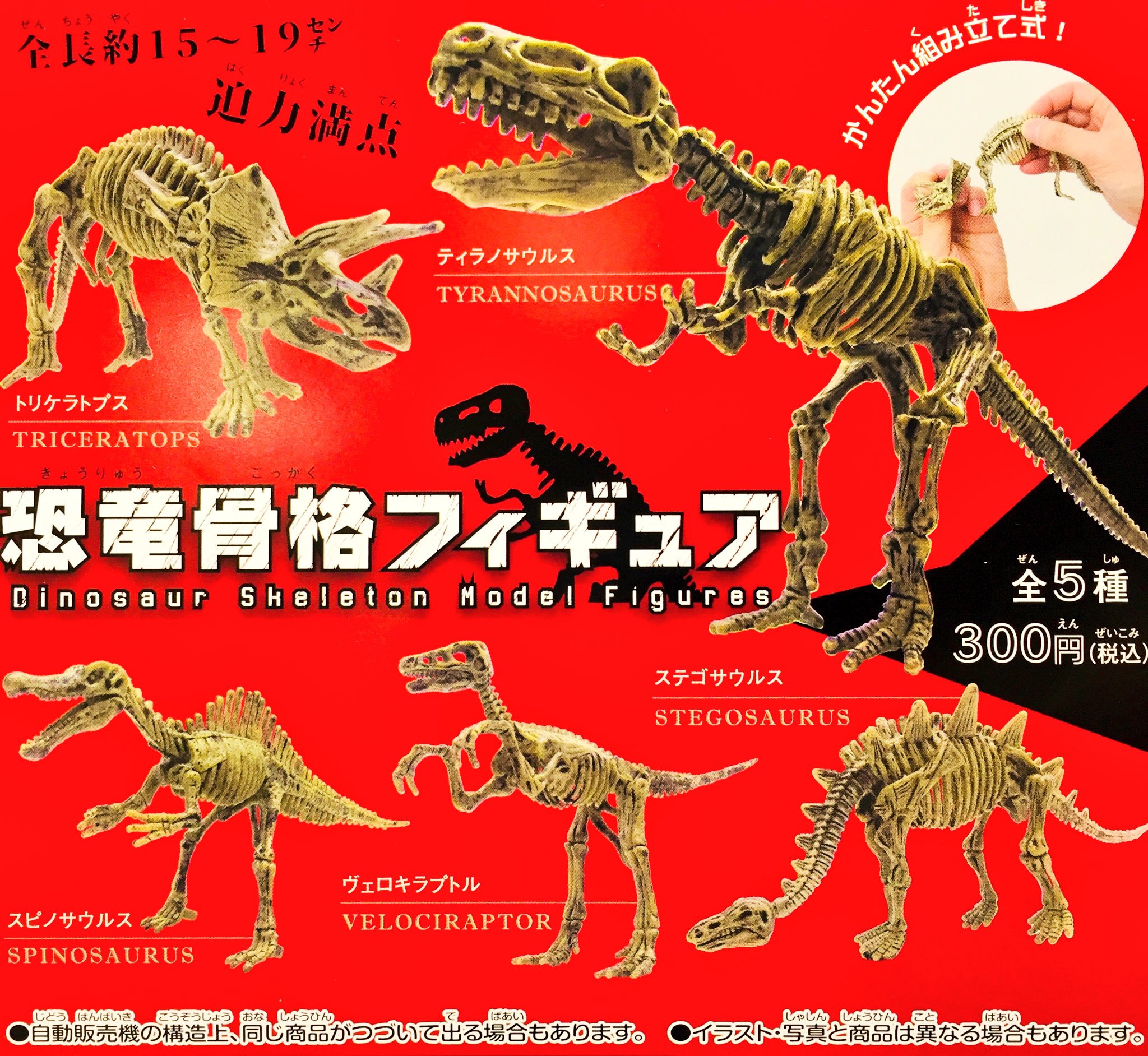 O Xrhsths ドリームカプセル イオンモールkyoto Sto Twitter おはようございます 今日も新作来ております 新作 ポケモン ぎゅっと抱きつきケーブルカバー 恐竜骨格フィギュア スクエアフィジェット 再入荷 リアルチェンジ