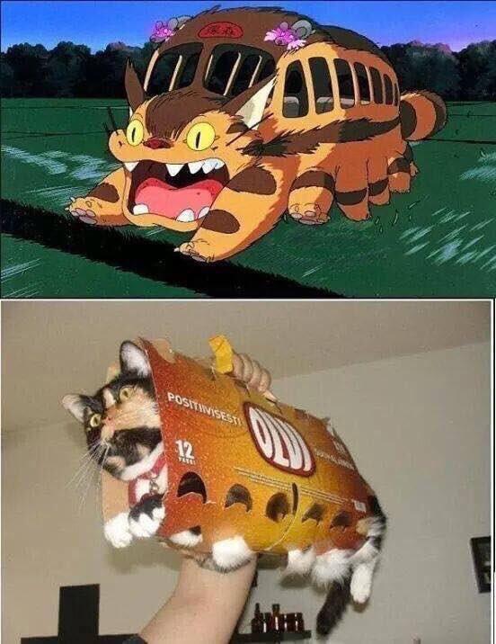 El Gatobus de Totoro en la vida real