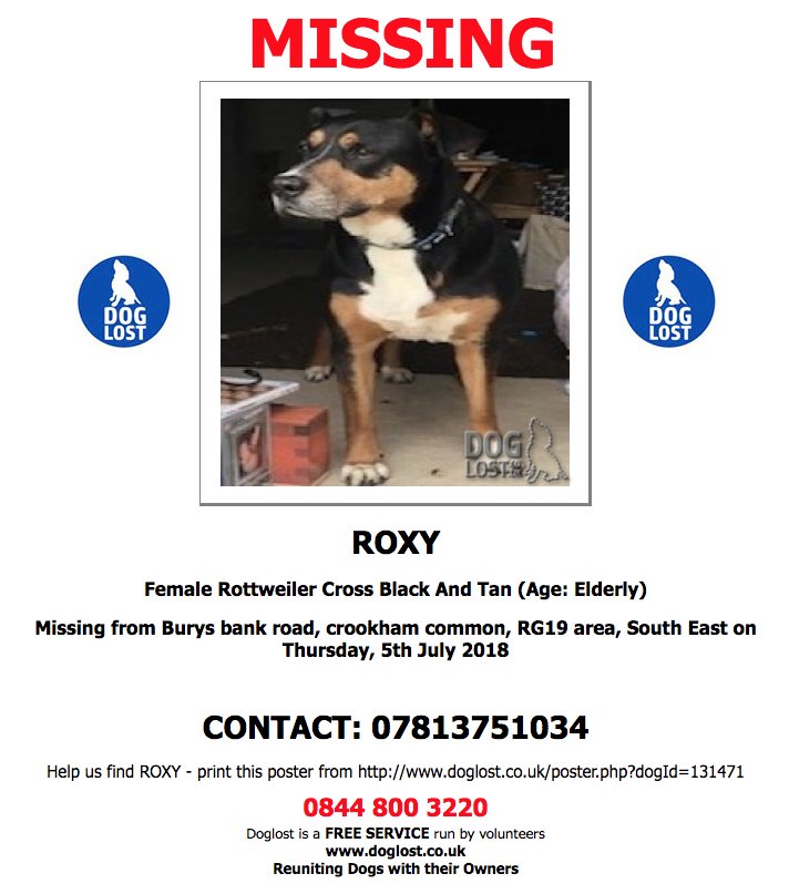 DogLostUK's tweet photo. https://t.co/jt1sXwNKjV  
#LOST  #DOG  ROXY
Elderly Female #Rottweiler Cross   #CrookhamCommon  #RG19 
Thursday, 5th July 2018    #LostDog  https://t.co/PsYeMfyZwR @VetsGetScanning @SAMPAuk_ https://t.co/Wmfe6pcnGy