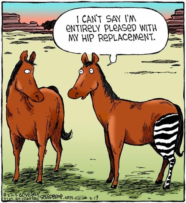 Aspen_Rehab_PT's tweet photo. 🔺FACT 🔺#Hipreplacements are 1️⃣ of the most commonly performed 👩🏾⚕️👨🏻⚕️🤔#surgeries. ☝🏽💉🚑🌡Physical therapy is an important aspect in a full and #successfulrecovery🔺‼️Aspen Rehab, Coral Springs Florida🔴
🔴954.341.7875🔴
#itsalmostfriday #humor #weekendvibes https://t.co/dw2RskRjMF