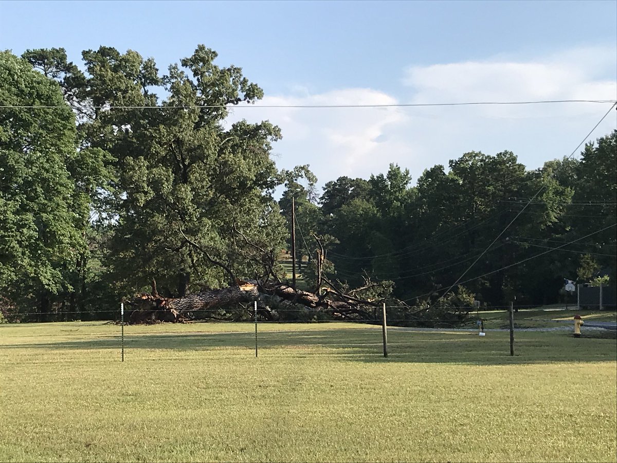 jrileywx's tweet image. #LocalView Tree blown down from Today’s storms on Roy Road in Blanchard, LA. @NWSShreveport @NBC6Weather #ArkLaTexWx #LAwx
